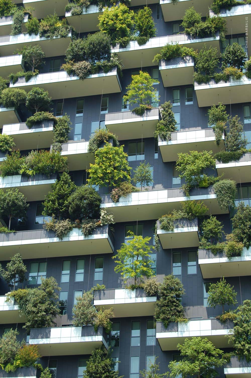 柏林：绿色屋顶法和日益昂贵的豪宅 - Immo News KW20