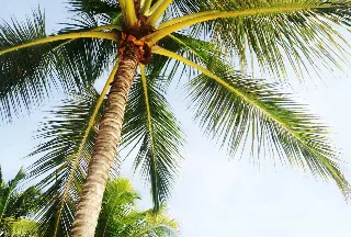 Florida als Steuerparadies: Vorteile für Unternehmen, Immobilienbesitzer und Investoren – USA
