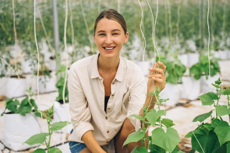 Solargewächshauser in Spanien: Megaprojekt Organic Farming – Lösung für den Planet?