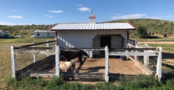 Fountain, CO 80817 – Exklusive Ranch auf riesiger Anlage