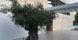 Ibiza, Spanien – Gigantisches Anwesen in der begehrtesten Gegend Ibizas