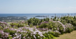 Ibiza, Spanien – Wunderschöne Oase hoch in den Bergen von Santa Eulalia – Preis auf Anfrage