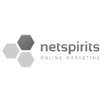 werbeagentur-logo-netspirits-online-marketing