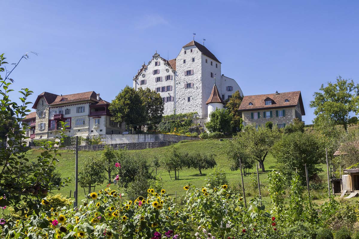 Historische Burg mit großen Garten voller Sonnenblumen vor strahlend blauem Himmel
