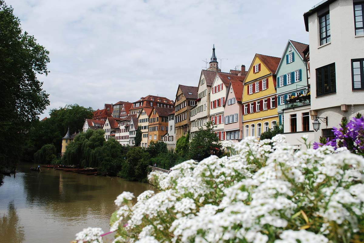 Backsteinhaus, Giebelhaus und Fachwerkshaus - viele Mehrfamilienhäuser, die sich am Rheinufer befinden umgeben von blauem Himmel und bunten Blumen